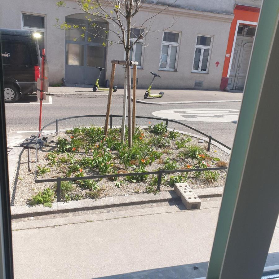Weisses Appartement Вена Экстерьер фото